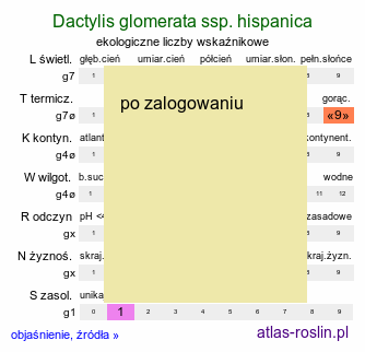 ekologiczne liczby wskaźnikowe Dactylis glomerata ssp. hispanica (kupkówka pospolita hiszpańska)