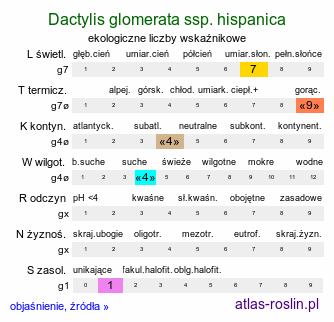 ekologiczne liczby wskaźnikowe Dactylis glomerata ssp. hispanica (kupkówka pospolita hiszpańska)