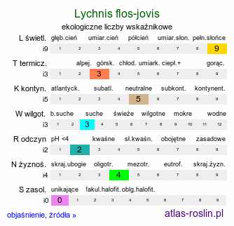 ekologiczne liczby wskaźnikowe Lychnis flos-jovis (firletka Jowisza)