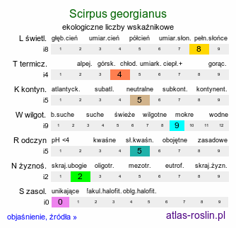 ekologiczne liczby wskaźnikowe Scirpus georgianus (sitowie amerykańskie)