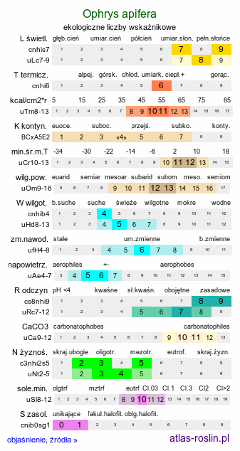 ekologiczne liczby wskaźnikowe Ophrys apifera (dwulistnik pszczeli)