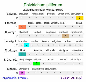 ekologiczne liczby wskaźnikowe Polytrichum piliferum (płonnik włosisty)