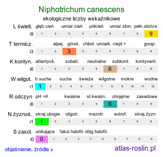 ekologiczne liczby wskaźnikowe Niphotrichum canescens (szroniak siwy)