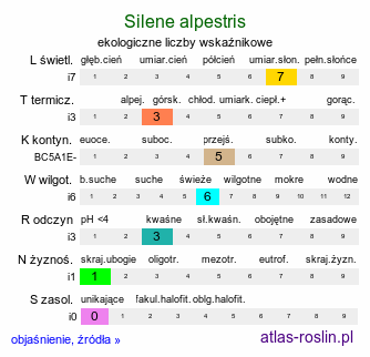 ekologiczne liczby wskaźnikowe Silene alpestris (lepnica alpejska)