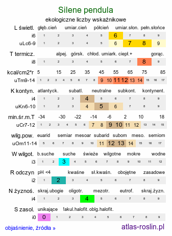 ekologiczne liczby wskaźnikowe Silene pendula (lepnica pnąca)