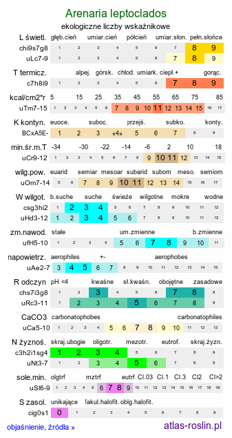 ekologiczne liczby wskaźnikowe Arenaria leptoclados (piaskowiec delikatny)