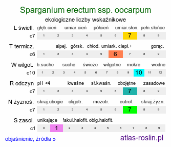 ekologiczne liczby wskaźnikowe Sparganium erectum ssp. oocarpum