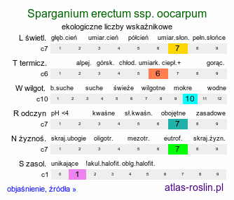 ekologiczne liczby wskaźnikowe Sparganium erectum ssp. oocarpum