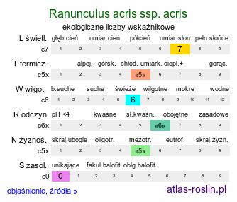 ekologiczne liczby wskaźnikowe Ranunculus acris ssp. acris (jaskier ostry typowy)