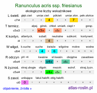 ekologiczne liczby wskaźnikowe Ranunculus acris ssp. friesianus