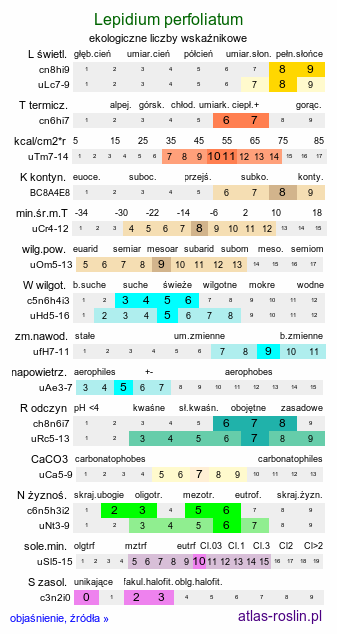 ekologiczne liczby wskaźnikowe Lepidium perfoliatum (pieprzyca przerosłolistna)