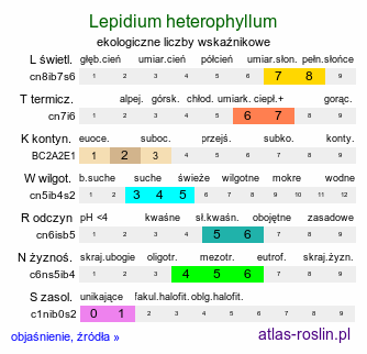 ekologiczne liczby wskaźnikowe Lepidium heterophyllum (pieprzyca różnolistna)