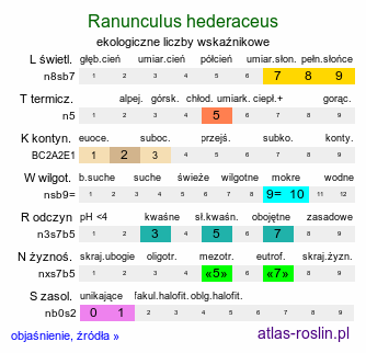 ekologiczne liczby wskaźnikowe Ranunculus hederaceus (jaskier bluszczolistny)