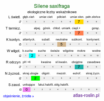 ekologiczne liczby wskaźnikowe Silene saxifraga (lepnica skalnicowata)