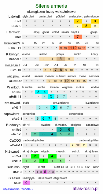 ekologiczne liczby wskaźnikowe Silene armeria (lepnica baldaszkowa)
