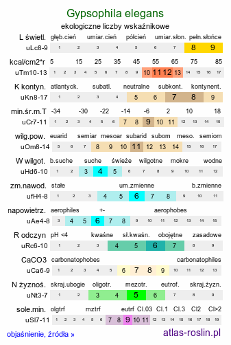 ekologiczne liczby wskaźnikowe Gypsophila elegans (łyszczec nadobny)