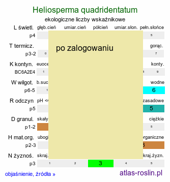 ekologiczne liczby wskaźnikowe Heliosperma quadridentatum (słonecznica wąskolistna)