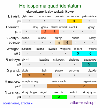 ekologiczne liczby wskaźnikowe Heliosperma quadridentatum (słonecznica wąskolistna)