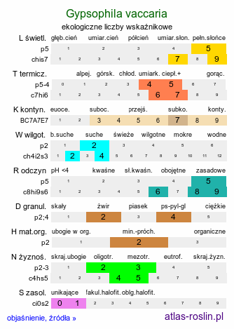 ekologiczne liczby wskaźnikowe Gypsophila vaccaria (krowiziół zbożowy)