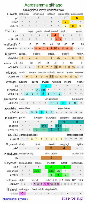 ekologiczne liczby wskaźnikowe Agrostemma githago (kąkol polny)