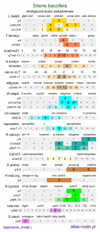 ekologiczne liczby wskaźnikowe Silene baccifera (wyżpin jagodowy)
