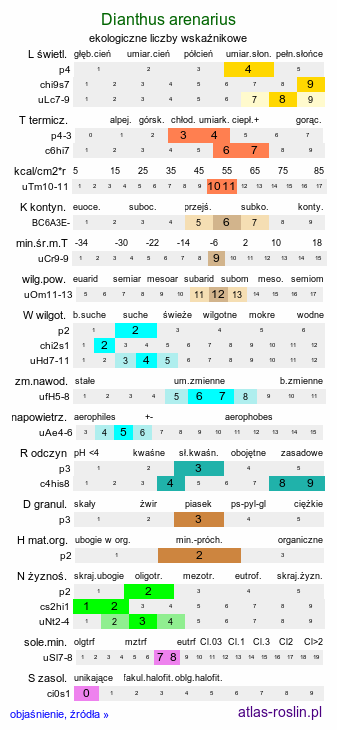 ekologiczne liczby wskaźnikowe Dianthus arenarius ssp. borussicus (goździk piaskowy)