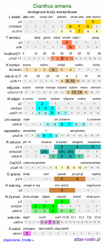ekologiczne liczby wskaźnikowe Dianthus armeria (goździk kosmaty)
