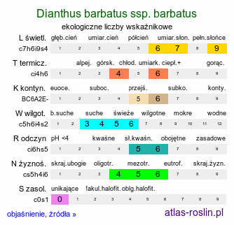 ekologiczne liczby wskaźnikowe Dianthus barbatus ssp. barbatus (goździk brodaty)