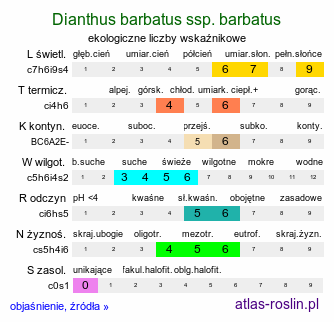 ekologiczne liczby wskaźnikowe Dianthus barbatus ssp. barbatus (goździk brodaty)