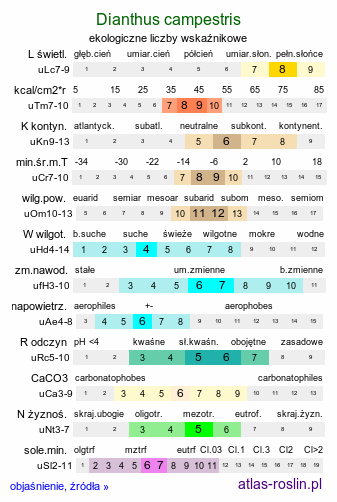 ekologiczne liczby wskaźnikowe Dianthus campestris (goździk polny)