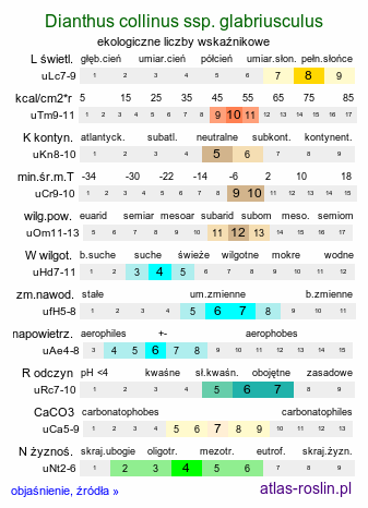 ekologiczne liczby wskaźnikowe Dianthus collinus ssp. glabriusculus (goździk pagórkowy łysy)