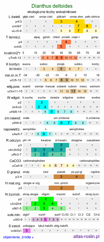 ekologiczne liczby wskaźnikowe Dianthus deltoides (goździk kropkowany)