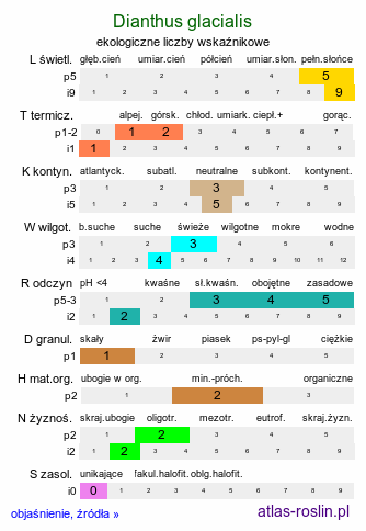 ekologiczne liczby wskaźnikowe Dianthus glacialis (goździk lodowcowy)