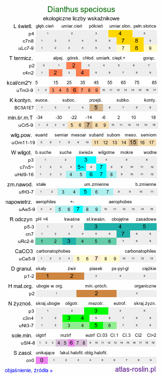 ekologiczne liczby wskaźnikowe Dianthus speciosus (goździk okazały)