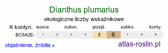 ekologiczne liczby wskaźnikowe Dianthus plumarius (goździk postrzępiony)