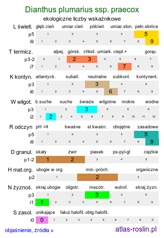 ekologiczne liczby wskaźnikowe Dianthus plumarius ssp. praecox (goździk postrzępiony wczesny)