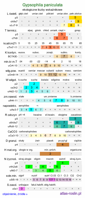 ekologiczne liczby wskaźnikowe Gypsophila paniculata (łyszczec wiechowaty)