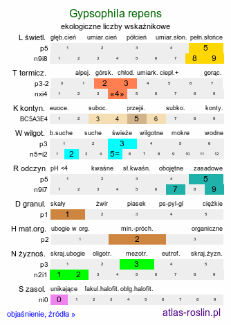 ekologiczne liczby wskaźnikowe Gypsophila repens (łyszczec rozesłany)