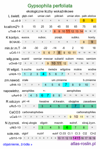 ekologiczne liczby wskaźnikowe Gypsophila perfoliata (łyszczec trójdzielny)