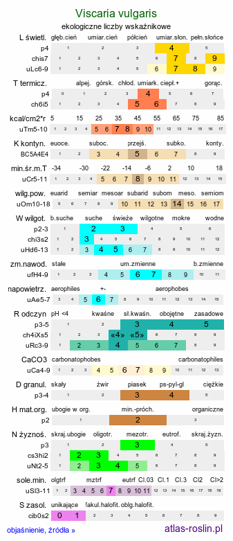 ekologiczne liczby wskaźnikowe Viscaria vulgaris (smółka pospolita)