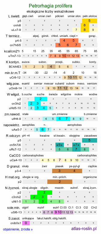 ekologiczne liczby wskaźnikowe Petrorhagia prolifera (goździcznik wycięty)