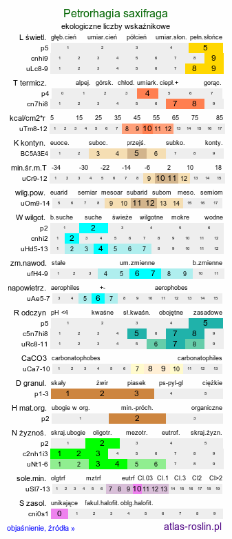ekologiczne liczby wskaźnikowe Petrorhagia saxifraga (goździcznik skalnicowy)