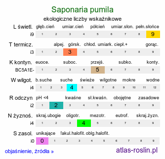 ekologiczne liczby wskaźnikowe Saponaria pumila