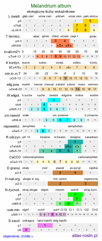 ekologiczne liczby wskaźnikowe Melandrium album (bniec biały)