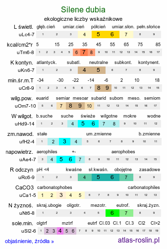 ekologiczne liczby wskaźnikowe Silene dubia (lepnica karpacka)