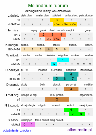 ekologiczne liczby wskaźnikowe Melandrium rubrum (bniec czerwony)