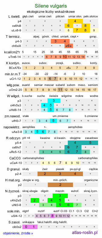 ekologiczne liczby wskaźnikowe Silene vulgaris (lepnica rozdęta)