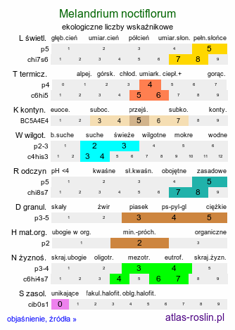 ekologiczne liczby wskaźnikowe Melandrium noctiflorum (bniec dwudzielny)