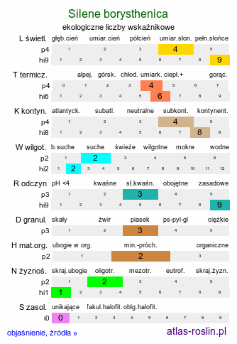 ekologiczne liczby wskaźnikowe Silene borysthenica (lepnica drobnokwiatowa)