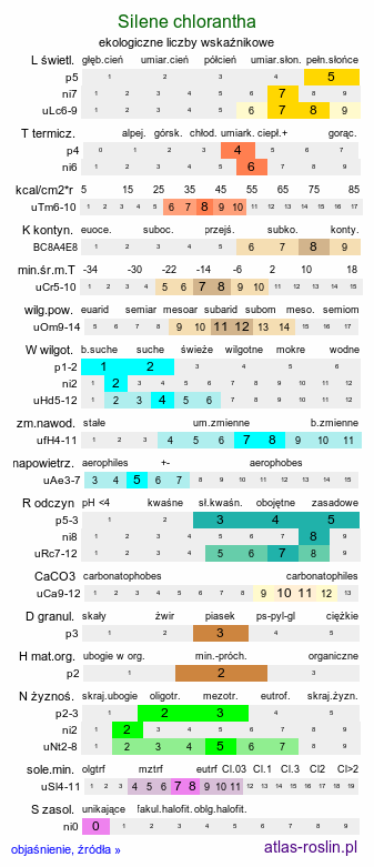ekologiczne liczby wskaźnikowe Silene chlorantha (lepnica zielonawa)